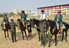 Horse Riding