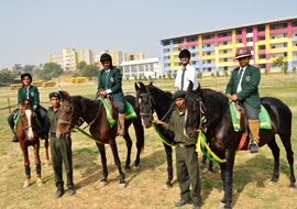 Horse Riding
