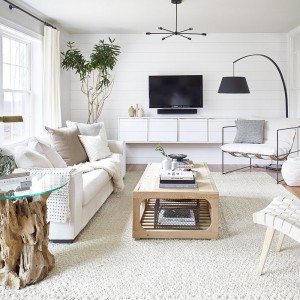 Small White Living Rooms